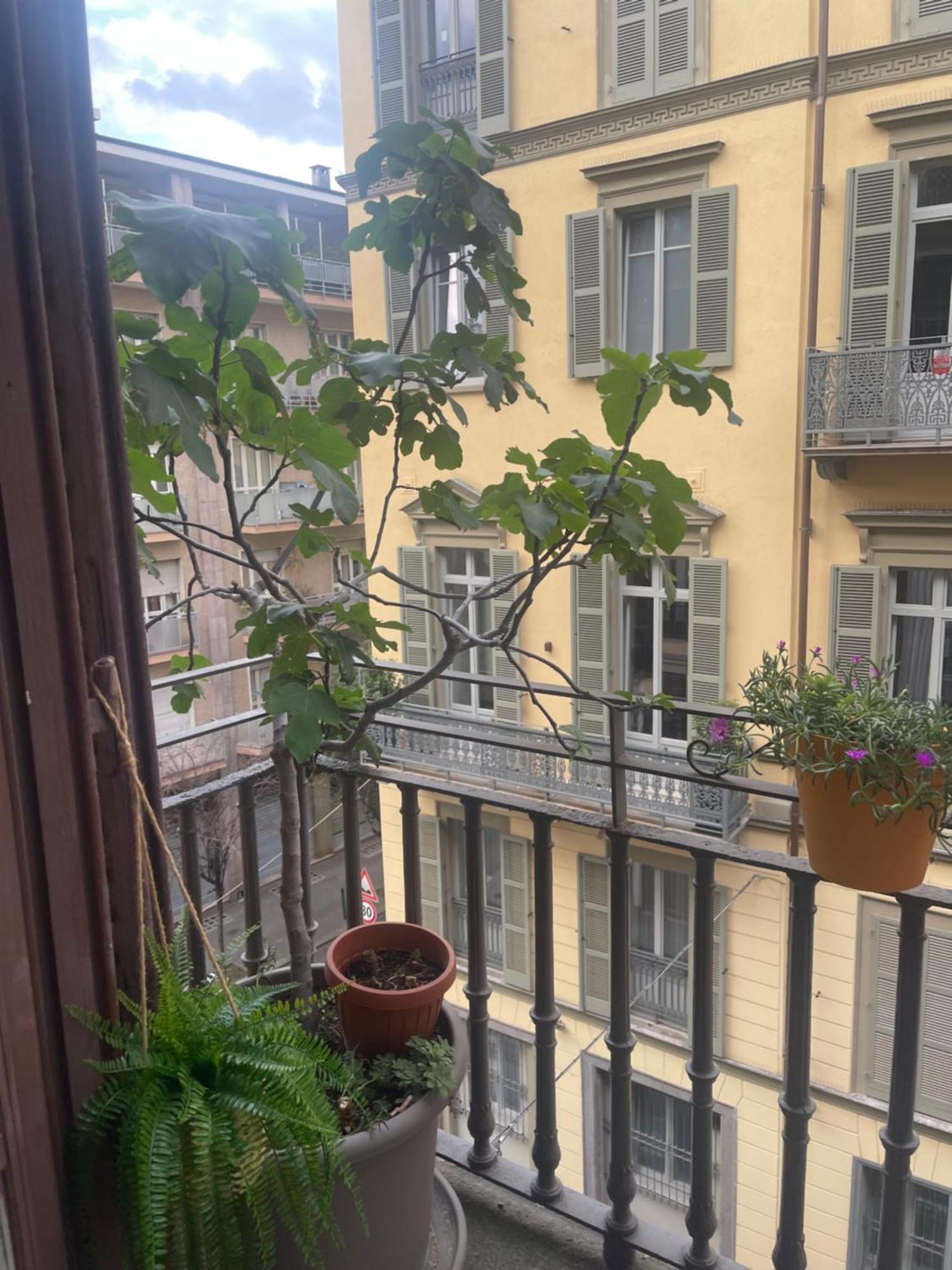 Torino Natura In Centro ภายนอก รูปภาพ